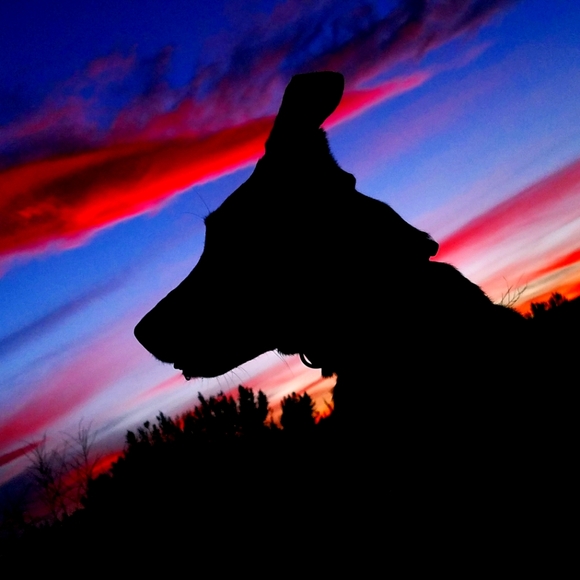 Meet your Posher, Melonie - Picture 10 of 16